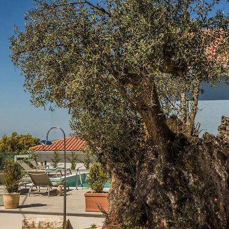 Summertime Villas Argostoli (Kefalonia) Exterior foto